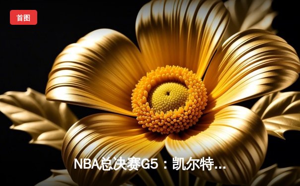 NBA总决赛G5：凯尔特人险胜独行侠 塔图姆31+11率队夺赛点