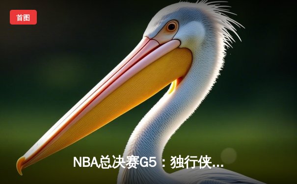 NBA总决赛G5：独行侠绝地反击，东契奇狂砍40+三双扳回一城